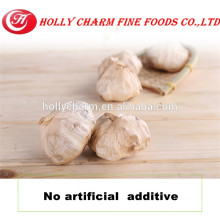 Best healthy product black garlic